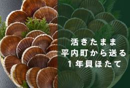【限定販売】活きたまま平内町から送る1年貝ほたて 2kg
